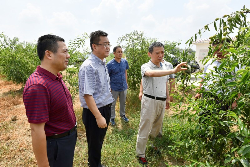 赵皖平赴阜阳市颍州区调研指导脱贫攻坚工作