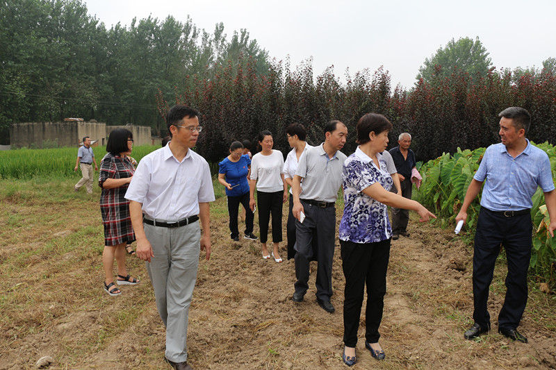 实施前,通过市委统战部选派的驻村帮扶干部,民建会员刘保良的牵头联系