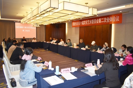 陆晓华出席民建安徽省十届文化艺术委员会第二次全体会议
