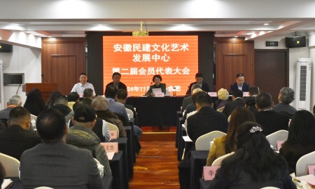 陆晓华出席安徽民建文化艺术发展中心第二届会员代表大会