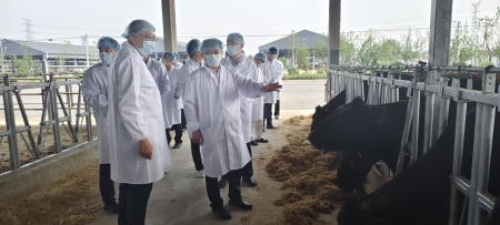 赵皖平率队赴阜阳颍泉区开展定点帮扶调研和物资捐赠