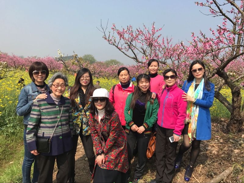 民建銅陵市委組織女會員觀賞大山村十里桃花